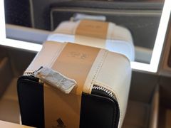 -新加坡航空公司(ION)