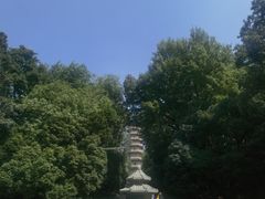 -灵谷景区