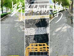 -元大都城垣遗址公园