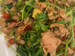 -燕风楼烤鸭店(建设总店)