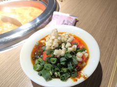 -季季红火锅(新百大店)