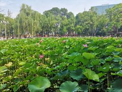-四川大学(望江校区)