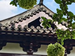 -常熟方塔园