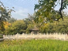 -莲湖公园