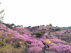 -青岛大珠山景区