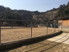 -枫露马术学院(藏书校区)