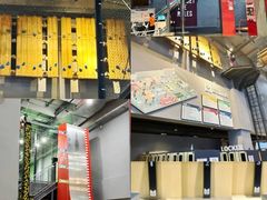 -运动派(北京店)