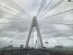 -万绿园