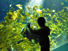 -波塞冬旅游度假区