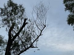 -长春市南湖公园