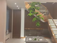 -正清和·推拿养生(二七广场店)