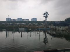 -新合益乡村农庄