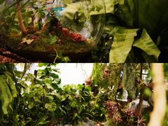 -杭州平安悦坊 PAFC LIVING