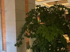 -浅深Cheersum(曹杨店)