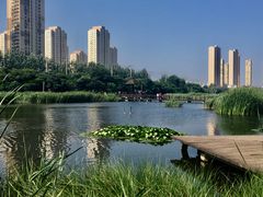景点-前关湿地公园