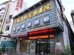 -千城康桥宠物医院·猫科·骨科·心脏