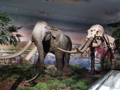 -湖南省地质博物馆