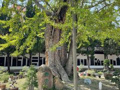 -苏州文庙(姑苏区)