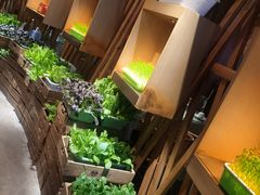 -番食园鲜食火锅(高新店)