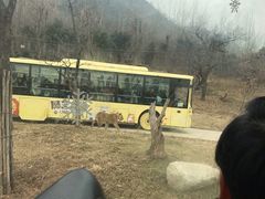 -西安秦岭野生动物园