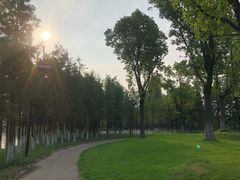 -乌村