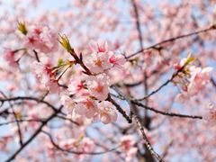 -白塘生态植物园