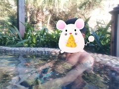 -汇雅温泉