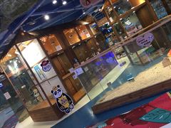 -龟与熊猫宠物公园(南坪店)