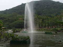 -呀诺达热带雨林