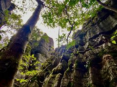 -梭布垭石林景区