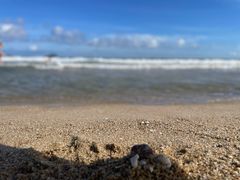 -三亚亚龙湾美高梅度假酒店FUN动冲浪