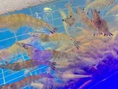 -0048鲜活香辣虾·火锅(铜陵路店)
