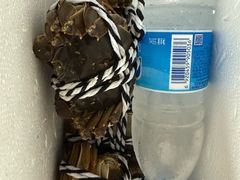 -七的湖·晚芳亭·阳澄湖农家菜·大闸蟹(莲花岛店)