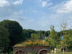 -铁山坪森林公园