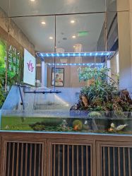 -阅年轻·AI家庭健康体质调理