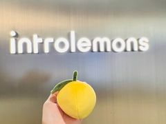 -introlemons(西单更新场·北京首店)