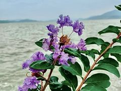 -东钱湖旅游度假区