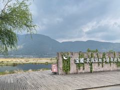 -腾冲北海湿地