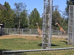 -石家庄市动物园