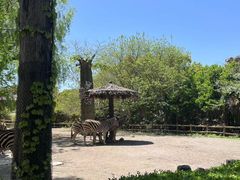 -上海野生动物园
