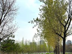 -汉长安城未央宫国家考古遗址公园