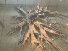 -金沙遗址博物馆