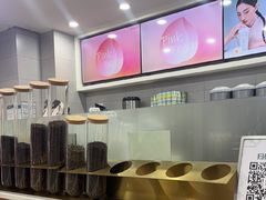 -雾与山茶(大禹城店)