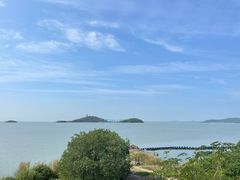 -上海市保健医疗中心