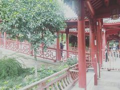 -龙潭水乡