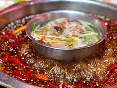 鸳鸯锅底-枇杷园食为鲜火锅(南山店)