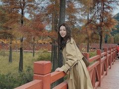 -广州市石门国家森林公园