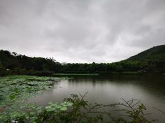 -大屏嶂森林公园