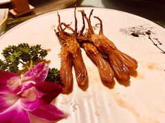-鸭味飞飞