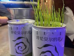 -很久以前羊肉串(清河店)